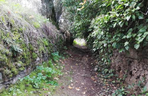 La Era de San Blas - Foto 46