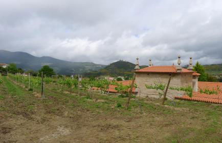 Casa de Ladreda - Foto 40