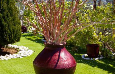 Cozy House with Amazing View and Unique Outdoor! - Foto 62