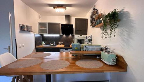 Appartement T2 Rez de jardin - Disneyland Paris 6 min - Foto 3