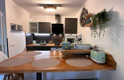 Appartement T2 Rez de jardin - Disneyland Paris 6 min - Foto 3