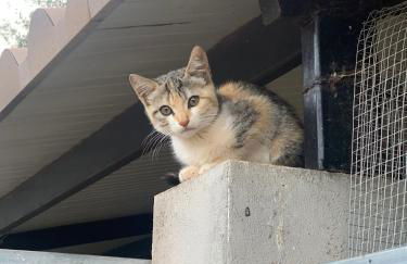 Romantic house for 2 or 4 people with jacuzzi - Foto 21