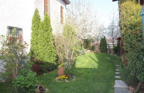 Livithron Rodon - Foto 14