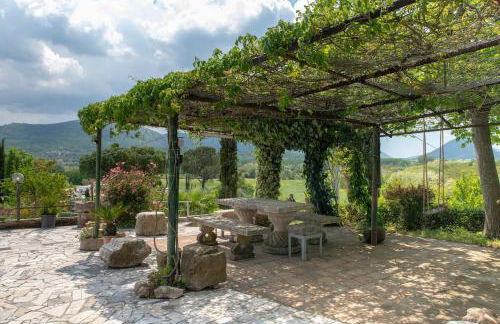 Fattoria Francesco - Foto 2