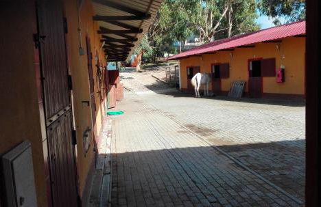 Herdade da Hera - Foto 11