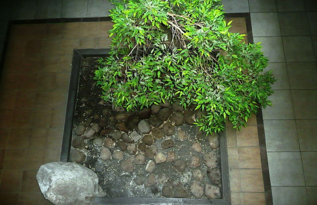 Like Home Apartments - Foto 23