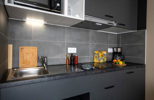 Nemea Appart Hotel Coeur Europe Strasbourg Illkirch - Foto 14