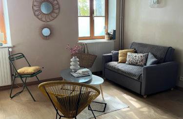 La Maison aux volets bleus 37 m3, Bords de Saône - Foto 2