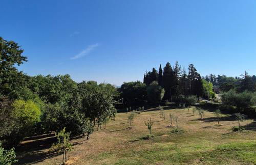 La Rosa Rossa - Foto 34