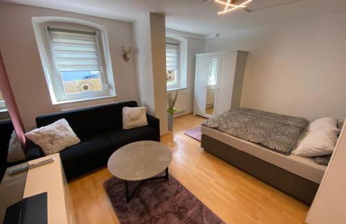 FeWo Kümo an der Regnitz Bischberg's - Foto 1