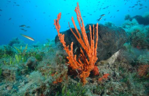 Apartment D & N - Foto 68