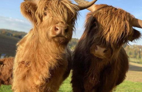 Boswachtershuis Goed Malberg - Foto 17