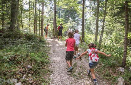 CASA CON TERRAZZI - 6posti 2stanze 2bagni - LAKEHOLIDAY IT - Foto 77