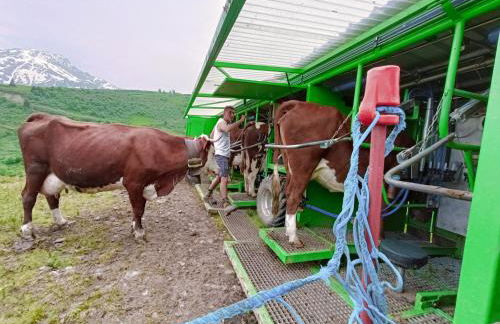 Le Cocon des Cîmes - Photo 14