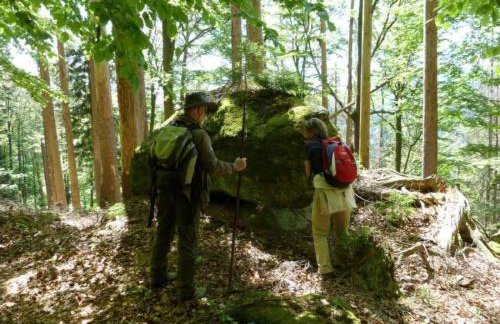 Apartment Wildfeuer by Interhome - Foto 13