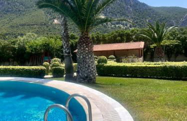 Psatha Villa's - Foto 10