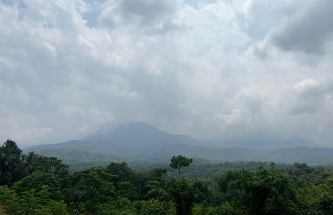 De Royale Summit Home Stay - Photo 31