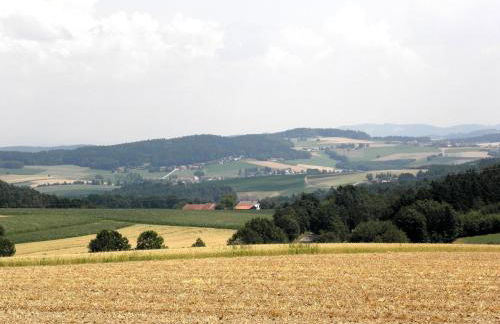 Gschwandnerhof - Foto 34