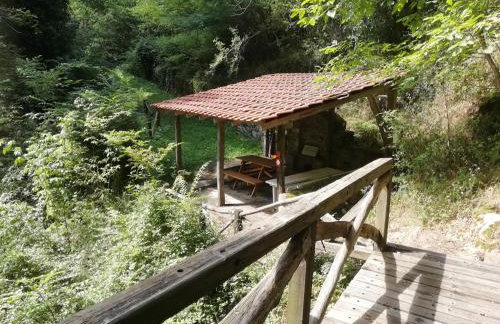 Τα πλατάνια - Foto 33