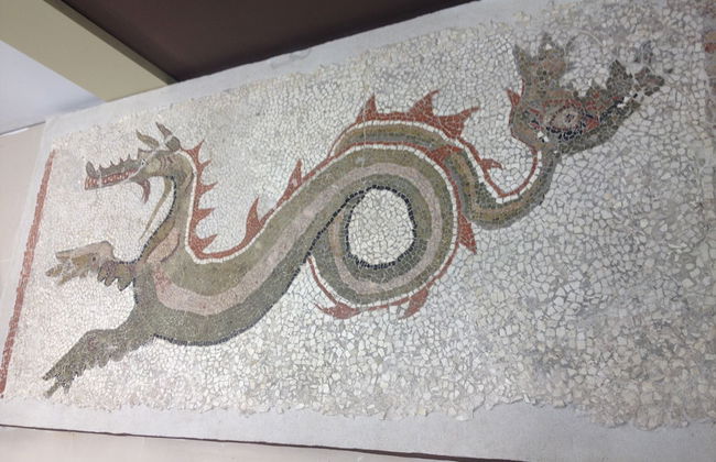 Agriturismo biologico 'A Lanterna - Foto 56