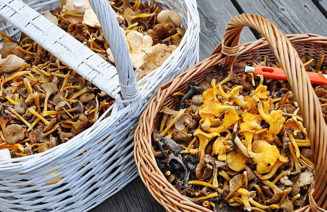 6 Person Holiday Home in Bollebygd-by Traum - Foto 16