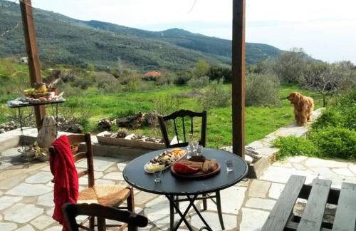 ARTistic House: view - pingpong - billard - Foto 23