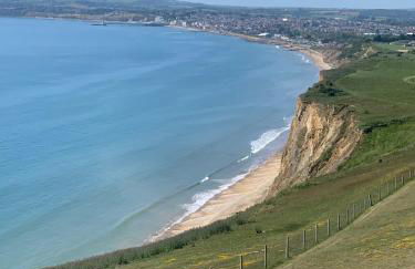 Tranquility at Sandown Bay - Photo 8