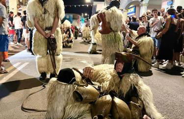 La Pavoncella Holiday Home - Foto 47