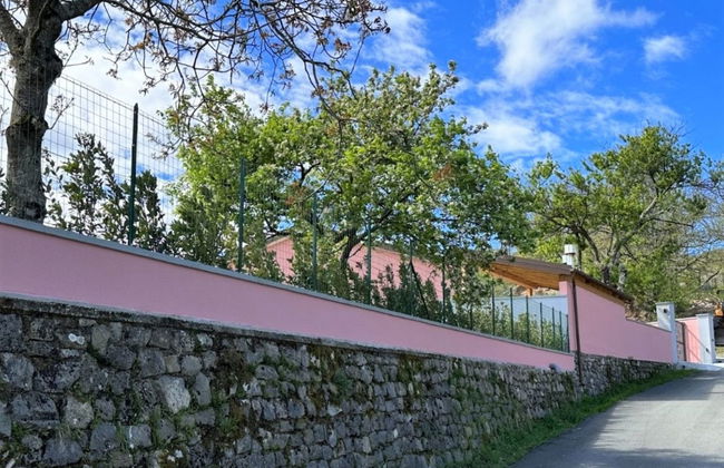 La Mela Musona - Foto 38