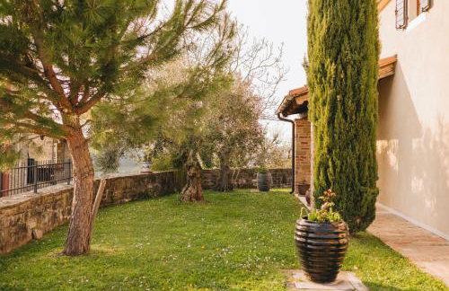 Dreamhill Meloni - Foto 27