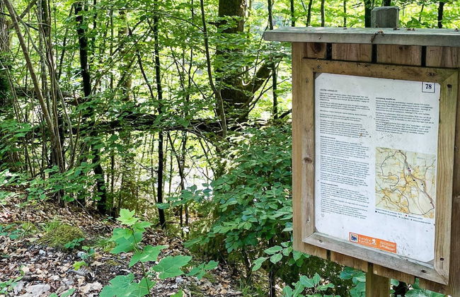 6 Person Holiday Home in Olofstrom-by Traum - Foto 18