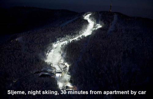 Zagreb Lodge Apartment - Foto 27