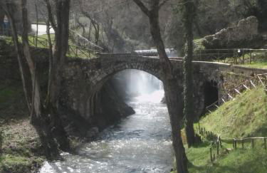 Parco Sogni d'Oro - Photo 16