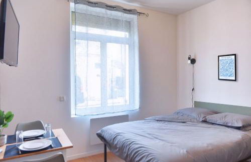 ZenkaSerenity-Ferme paisible Centre CHU-wifi-pro - Foto 13