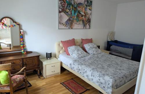 Beautiful flat around Geneva & its airport Palexpo - Photo 19