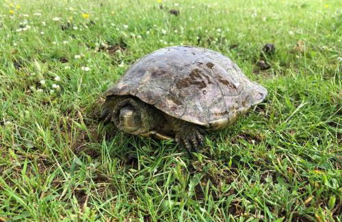 Monte de Stª Margarida - Foto 35