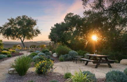 Vineyard Views w Pool Game Room Near Trails Wineries Beginnings Ranch Vineyard by AvantStay - Foto 62