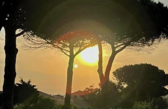 South of France Modern Retreat - Foto 16