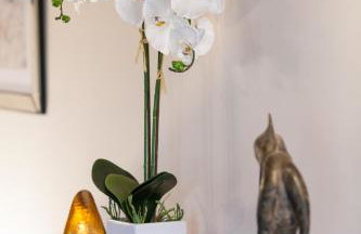 Skipbridge Farm Cottages - Foto 70