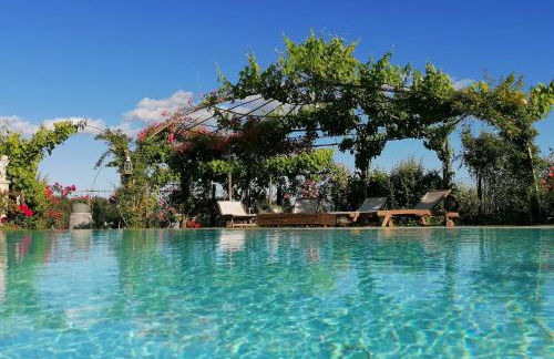 Podere Piandarca - Photo 6