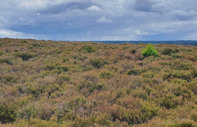 6 Person Holiday Home in Bording - Foto 19