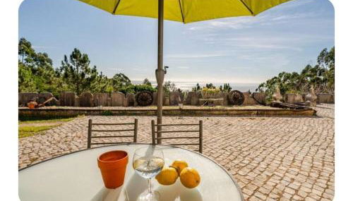 Casa na Floresta - Foto 2