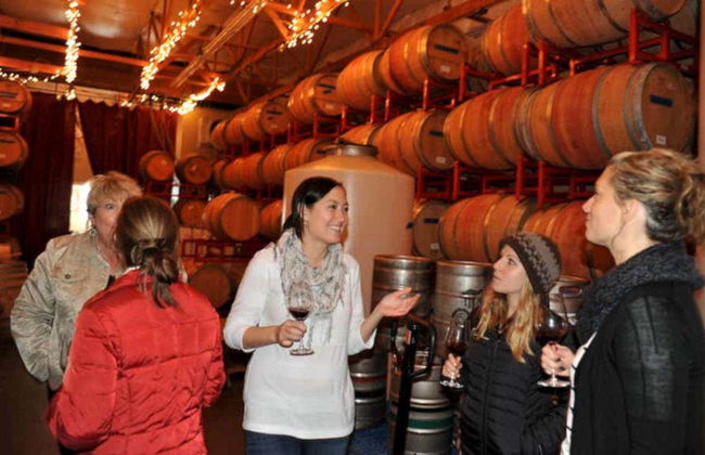 Chutes de Snoqualmie + Dégustation de vin à Woodinville - Photo 1