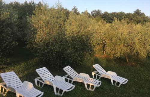 House in Nature - Foto 69