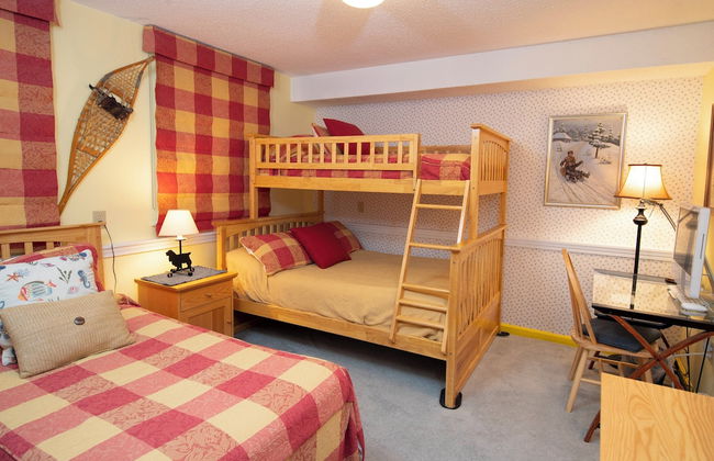 Winterplace at Okemo, A Vail Resorts Property - Foto 30