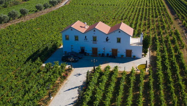 Admiring the vineyards of Quinta da Avessada