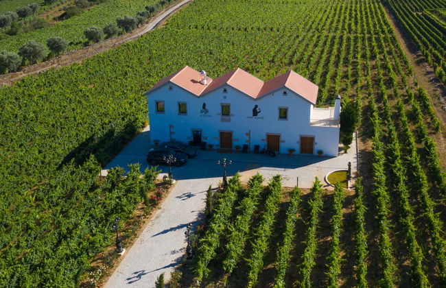 Quinta da Avessada Winery Tour - Foto 1