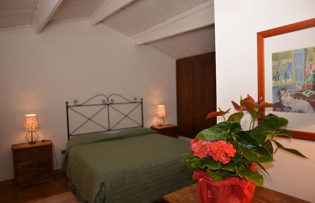 Agriturismo Fattoria Il Casalone - Foto 6