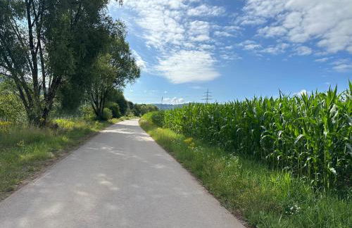 Moderne FerienWohnung NeuBau Merzig - Foto 48