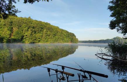 Piotiwo D1 - Foto 25